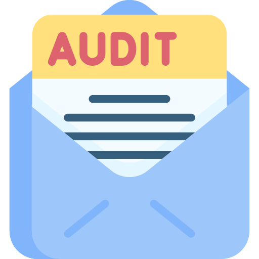 audit